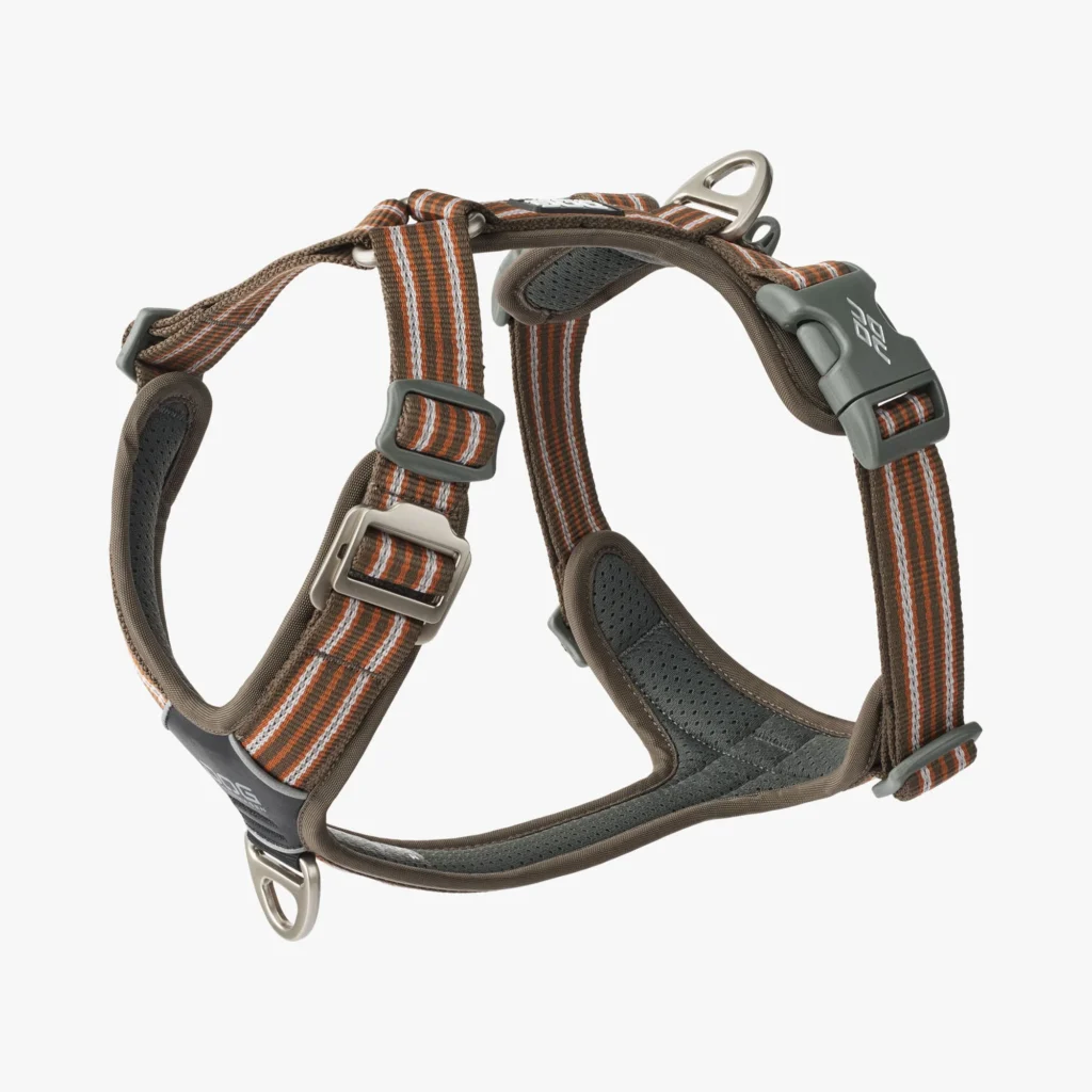 Dog Harness