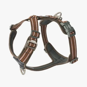 Dog Harness