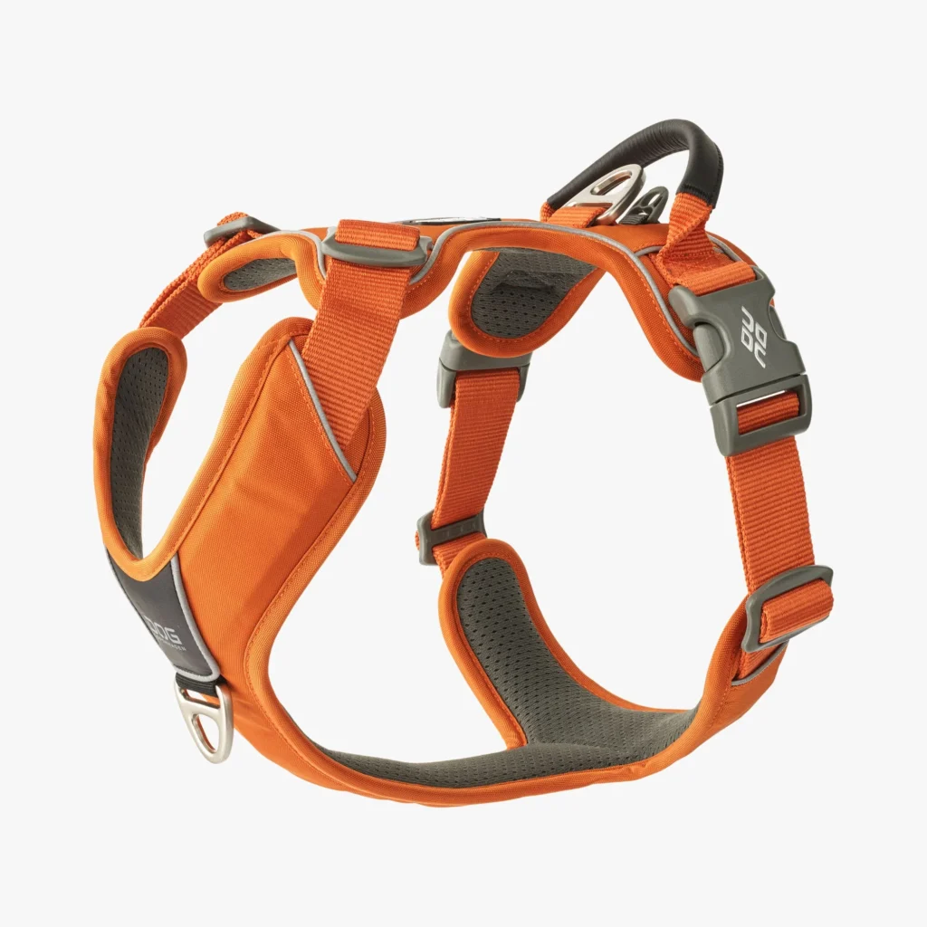Photo of harness